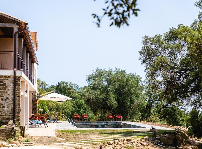 Grande Villa 750 M2 Le Mas Des Chenes Bormes-les-Mimosas Dış mekan fotoğraf